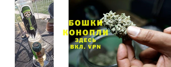 ПСИЛОЦИБИНОВЫЕ ГРИБЫ Бугульма