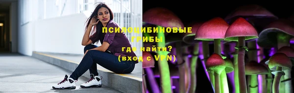 ПСИЛОЦИБИНОВЫЕ ГРИБЫ Бугульма