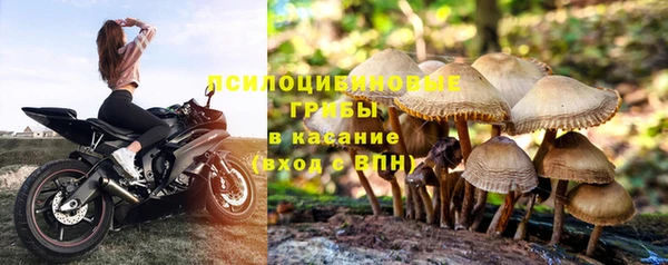 ПСИЛОЦИБИНОВЫЕ ГРИБЫ Бугульма